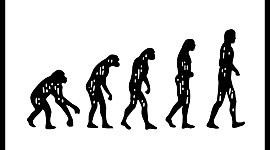 Timeline: The Life of Charles Darwin & The Theory of Evolution