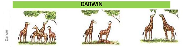 Teoría Darwin - Ambiental