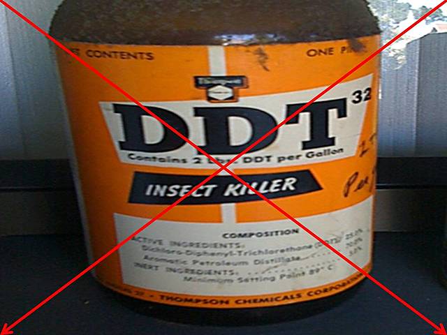 DDT