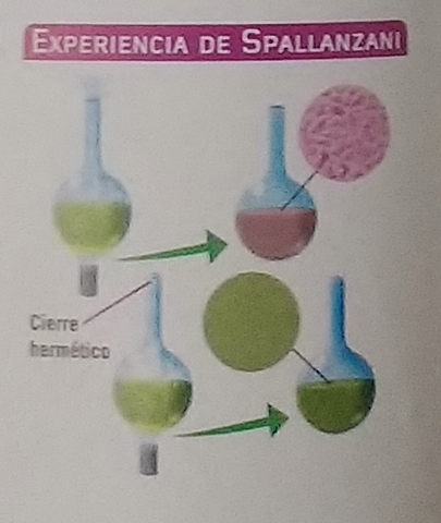 Experimento de Spallanzani