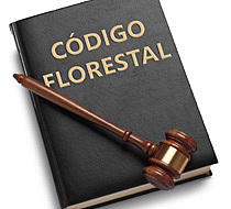 Primeiro código florestal do Brasil