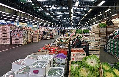 Industria de alimentos