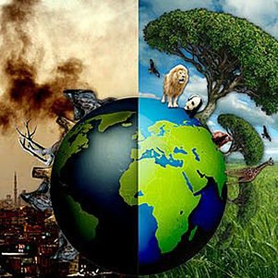 Timeline: Historia de la problematica ambiental