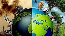 Timeline: Historia de la problematica ambiental