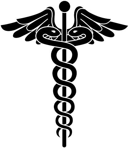 El Dr. Ignacio Vado Lugo, en razón de su cargo de director de la Escuela de Medicina en Mexico.