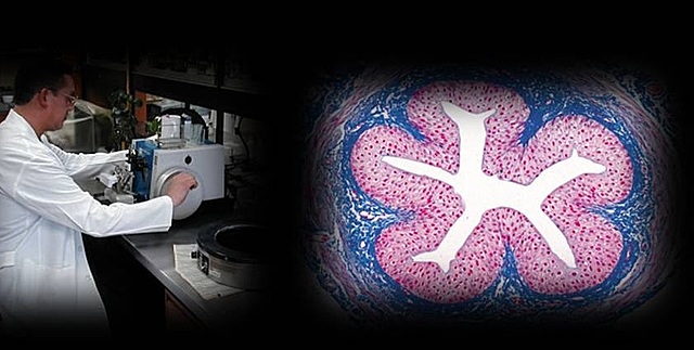 Métodos histológicos