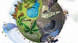 Timeline: problemática ambiental de la producción y consumo de recursos naturales a nivel global