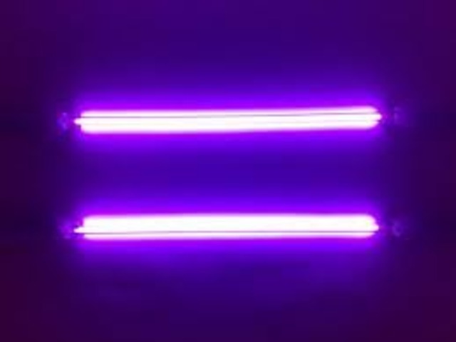 Francis Hauksbee invented Neon Light