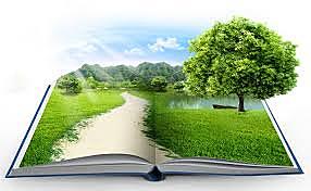 Congresso Ibero-americano de Educação Ambiental