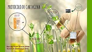 Protocolo De Cartagena