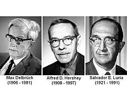 Salvador E. Luria, Max Delbrück y Alfred Day Hershey