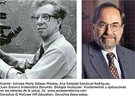 Howard Martin Temin y David Baltimore