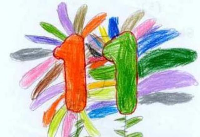 Mi 11bo año de vida