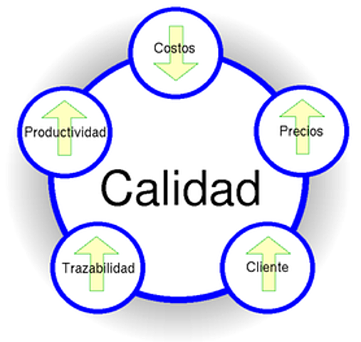 Círculos de calidad.