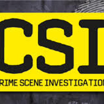 Timeline: C.S.I History