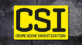 Timeline: C.S.I History