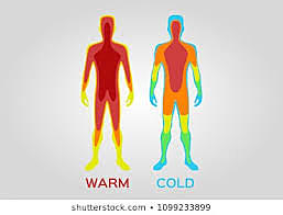 Using Body Temp. To Determine Time of Death