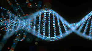 Starting DNA Recognition