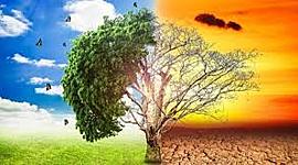 Timeline: problemática ambiental