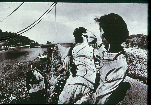 Enfermedad de Minamata