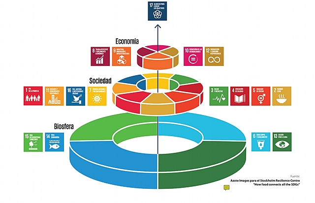 Enfoques de la Dimensión Ambiental.