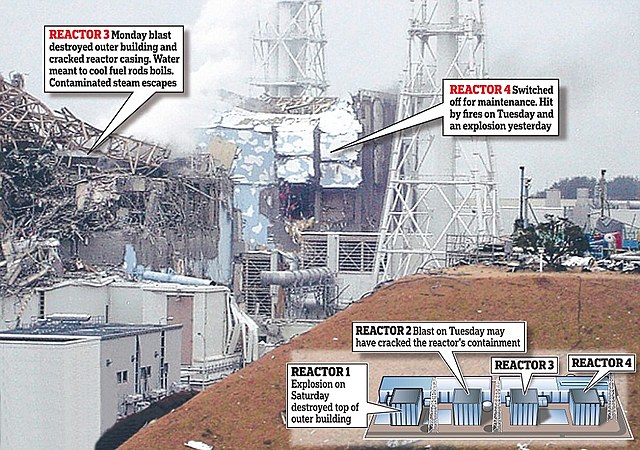 Desastre ecológico en Japón