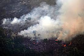 Amazonas en llamas