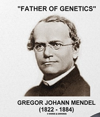 Padre fundador de la genética