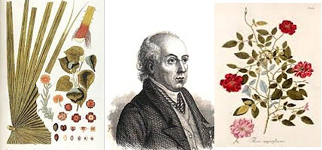 A través de la historia.