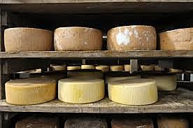 produccion de quesos con la maduracion lenta