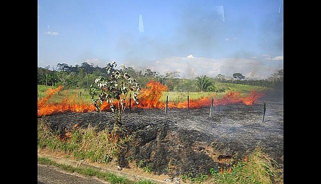 Cambio climático por deforestacion, y destrucción por parte del hombre.