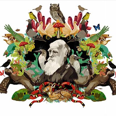 Timeline: Somos evolucion