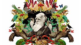 Timeline: Somos evolucion