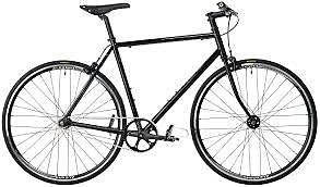 Learned how to ride a bike.