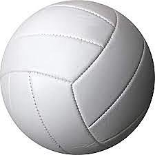 started volleyball