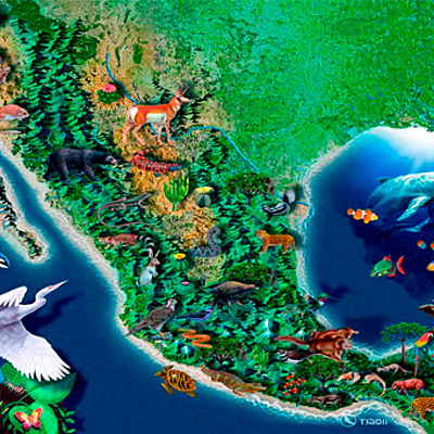 Timeline: ¿Cómo se originó la biodiversidad?