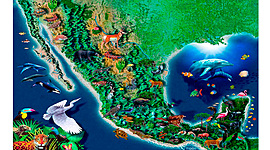 Timeline: ¿Cómo se originó la biodiversidad?