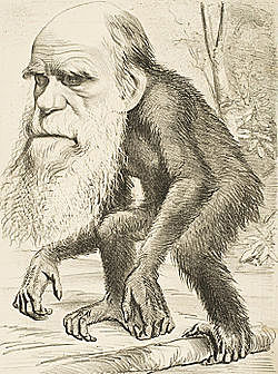 CRITICA AL DARWINISMO