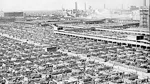 Seen grandpa selling cattle for the first time