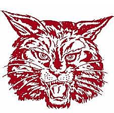 First year in middle school