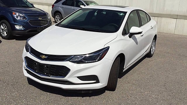 my sister final got her license