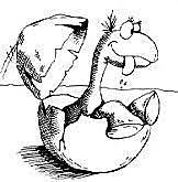 Drawing in Art class 5th grade