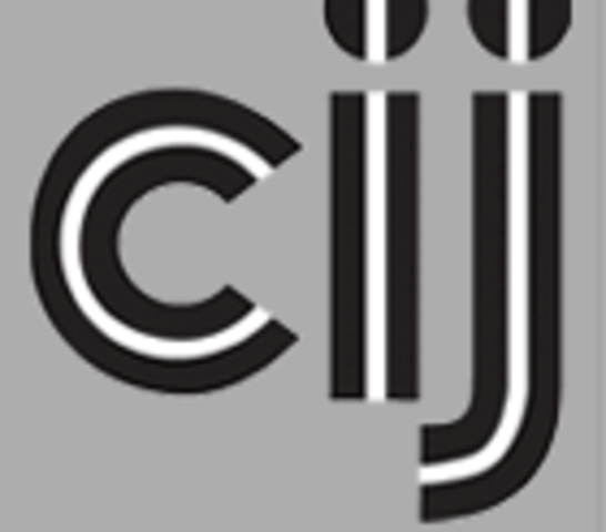 CIJ Summer School