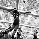 Softball, Volleyball, and Gymnastics