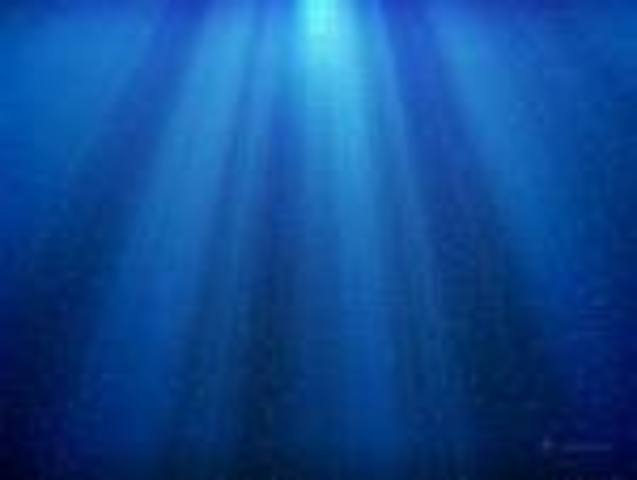 First underwater picture