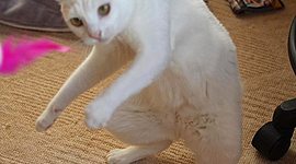 Timeline: innovaciones tecnologicas