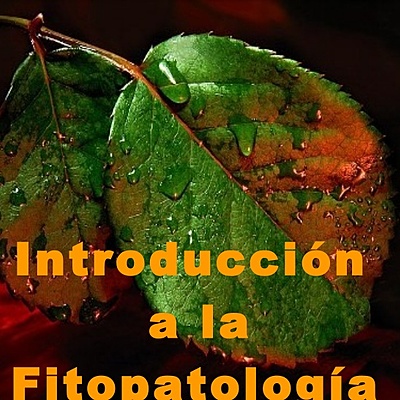 Timeline: historia de la fisiopatológica