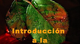 Timeline: historia de la fisiopatológica