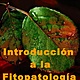 Fitopatologia
