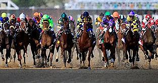 kentucky derby